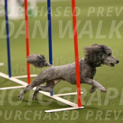 Fizz-Lori-Bieber-00174