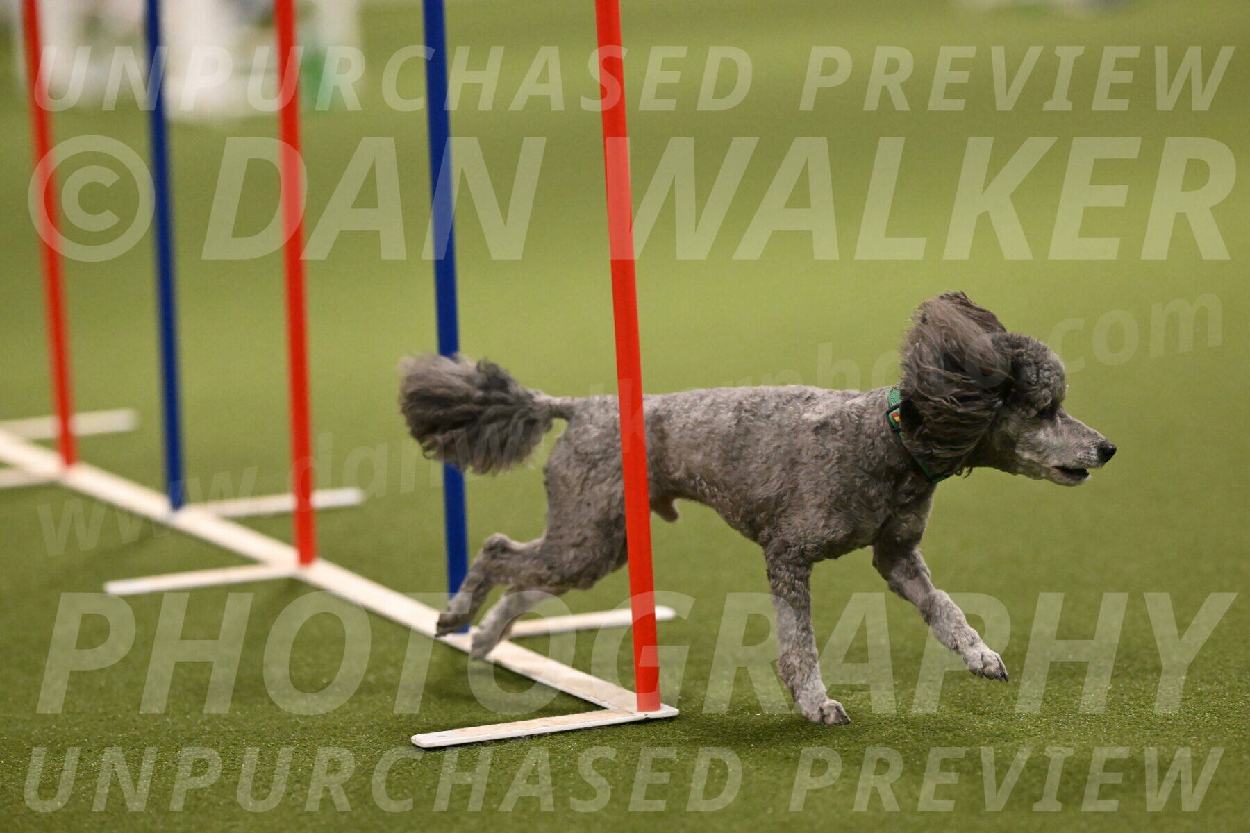 Fizz-Lori-Bieber-00175