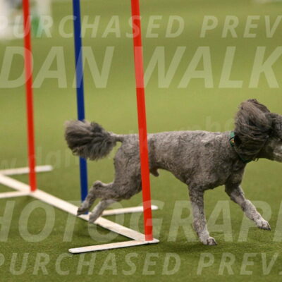 Fizz-Lori-Bieber-00175