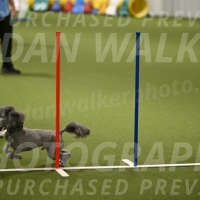 Fizz-Lori-Bieber-00176