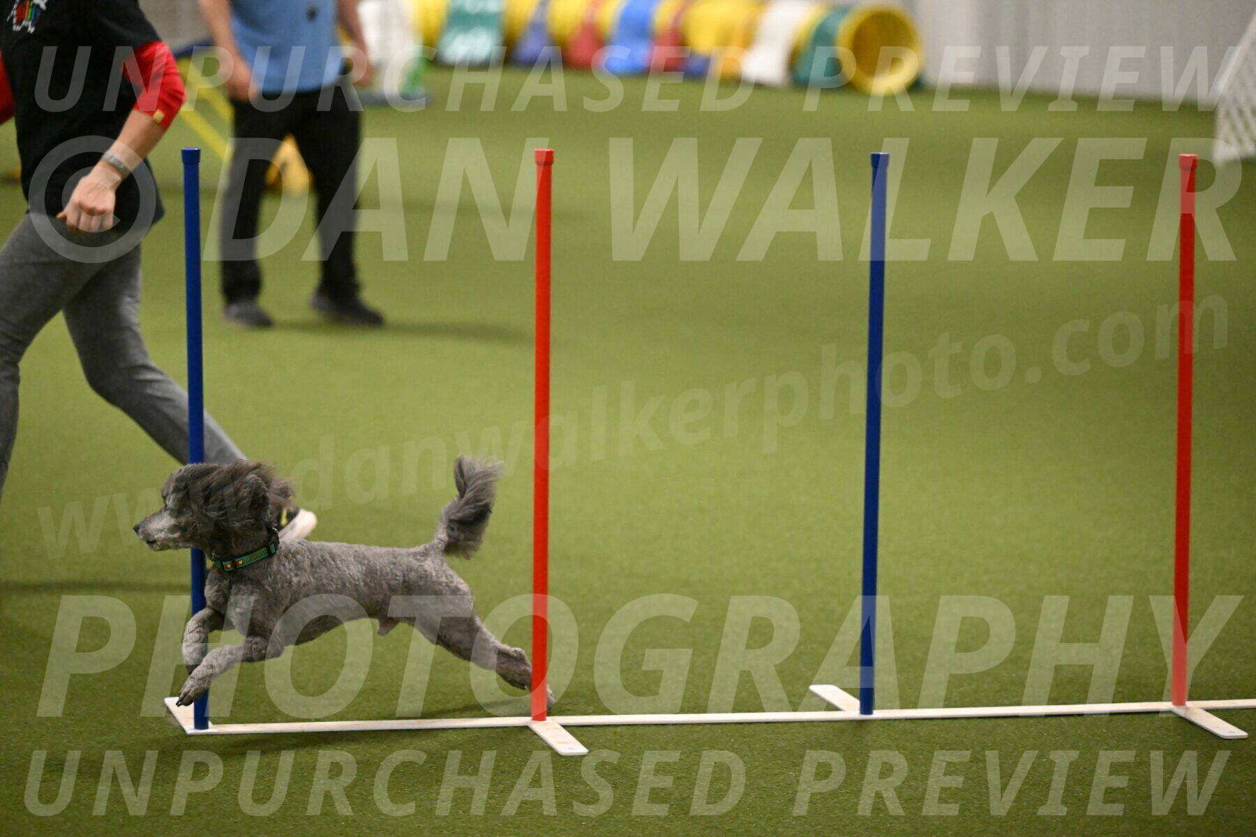 Fizz-Lori-Bieber-00177