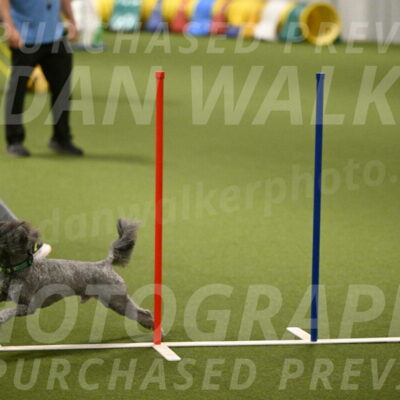 Fizz-Lori-Bieber-00177