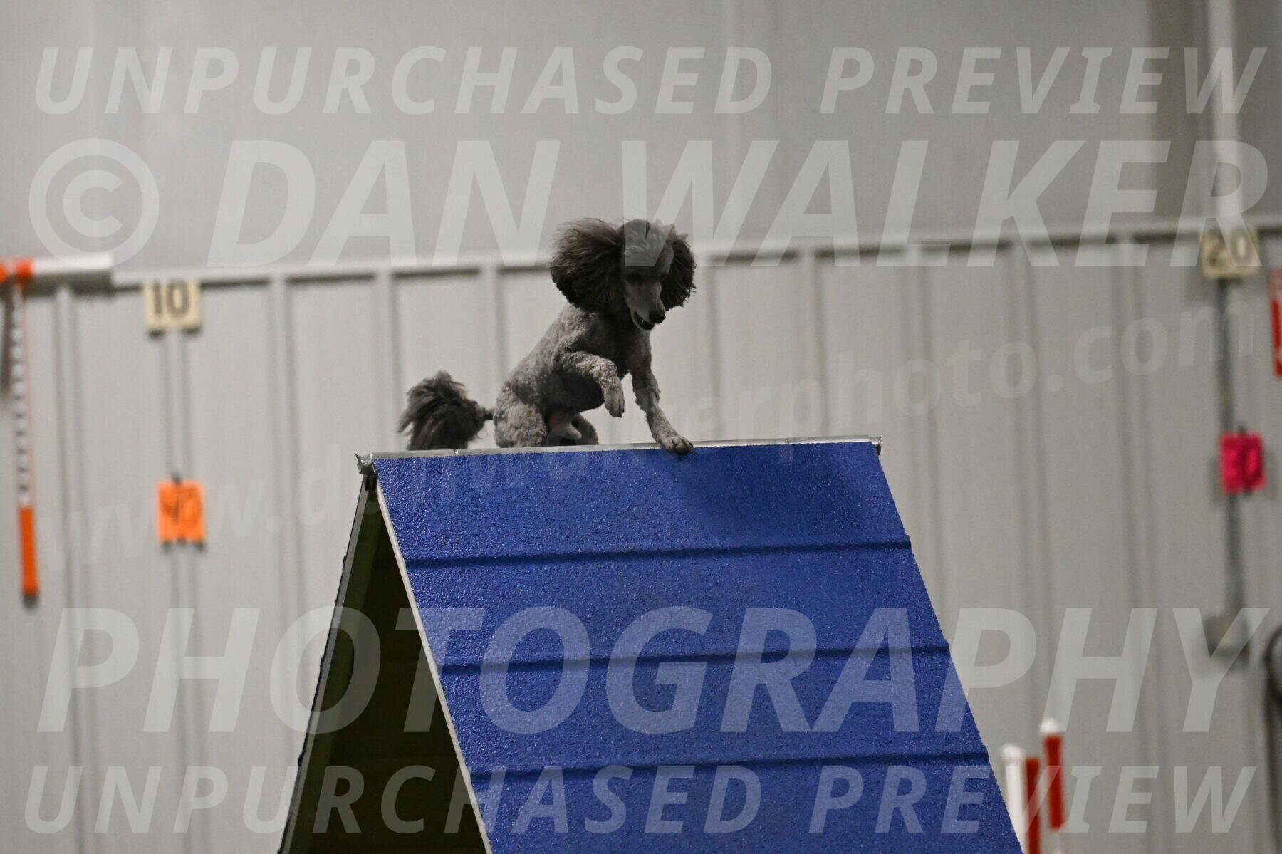 Fizz-Lori-Bieber-00178