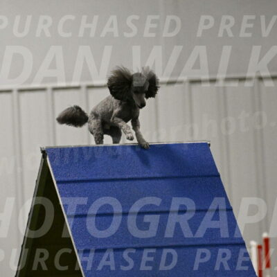 Fizz-Lori-Bieber-00179