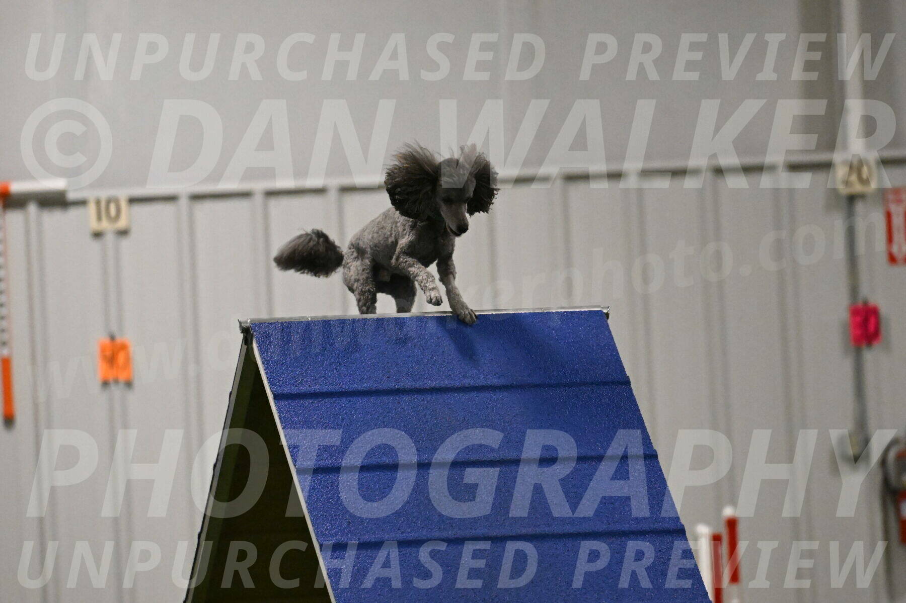 Fizz-Lori-Bieber-00179