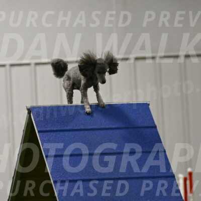 Fizz-Lori-Bieber-00180