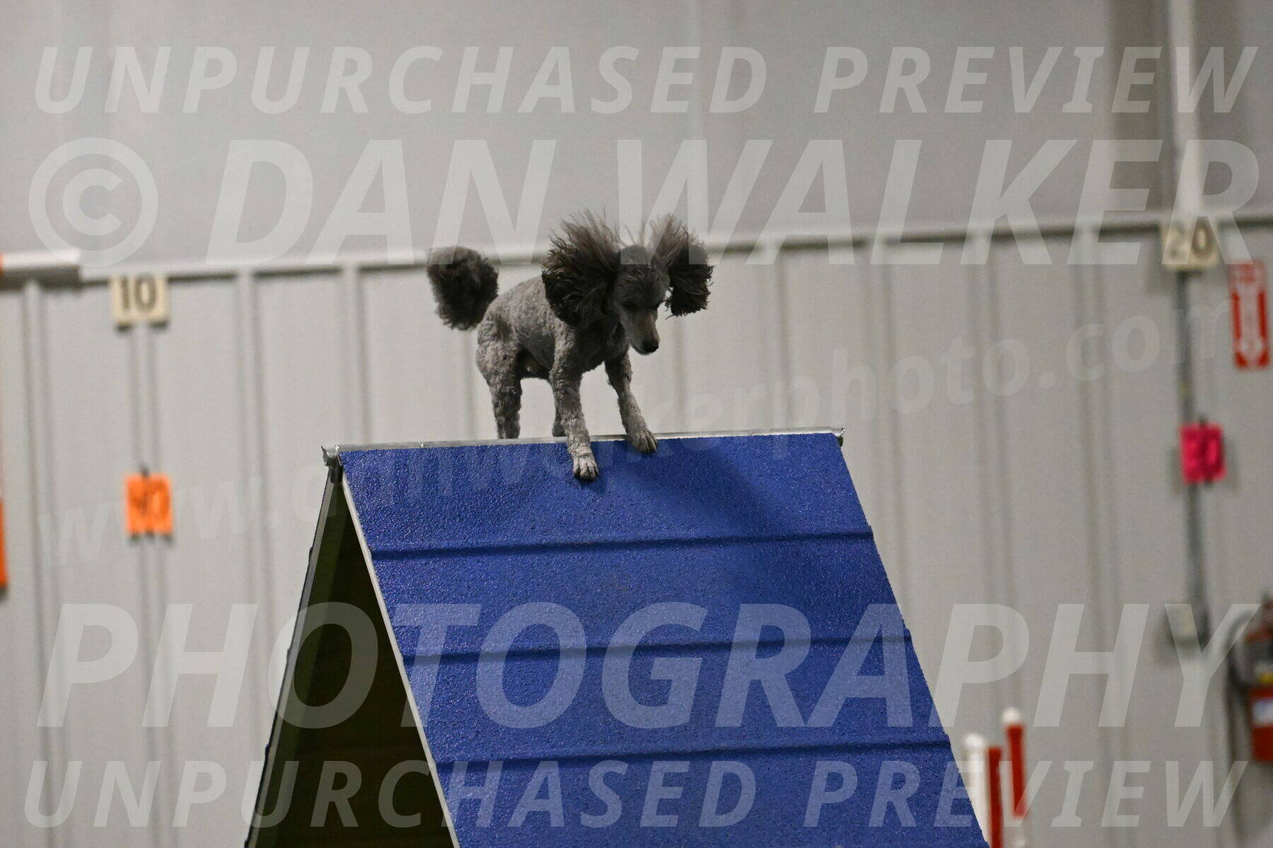 Fizz-Lori-Bieber-00180