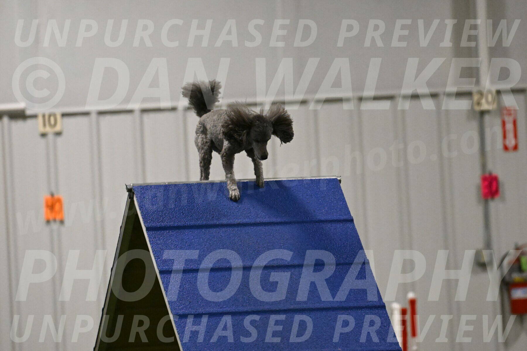 Fizz-Lori-Bieber-00181