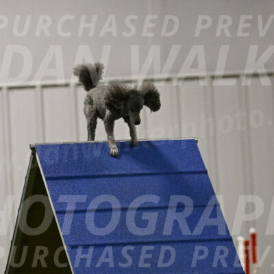 Fizz-Lori-Bieber-00181