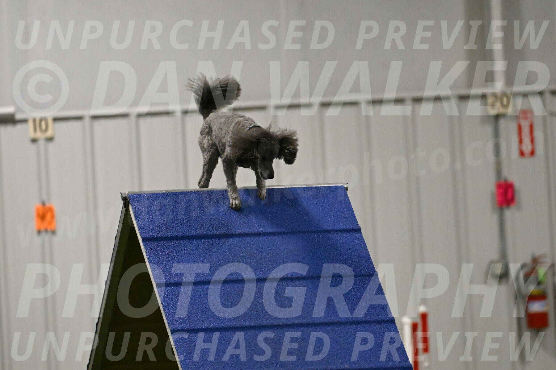 Fizz-Lori-Bieber-00182