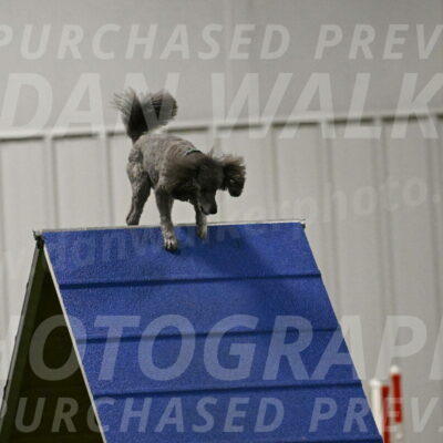 Fizz-Lori-Bieber-00182