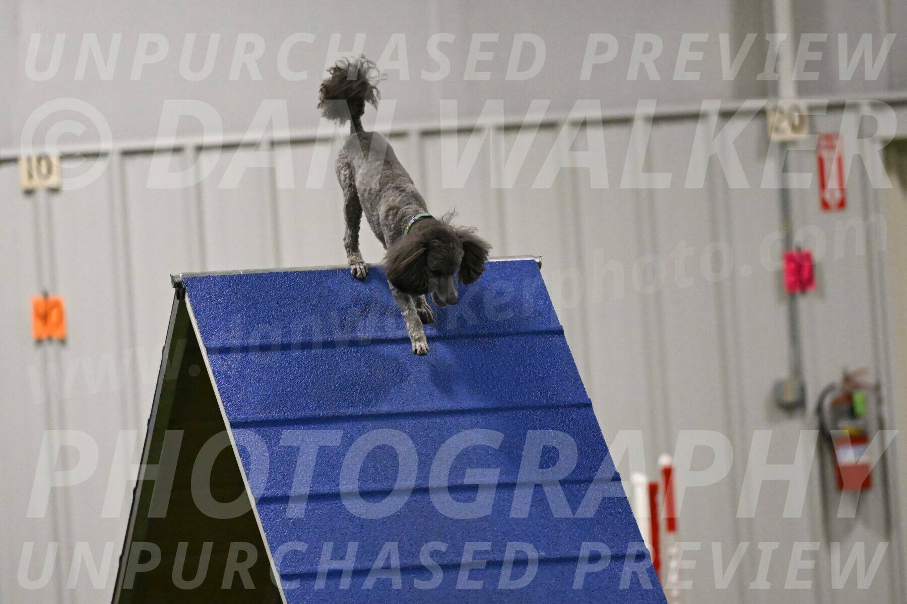 Fizz-Lori-Bieber-00183