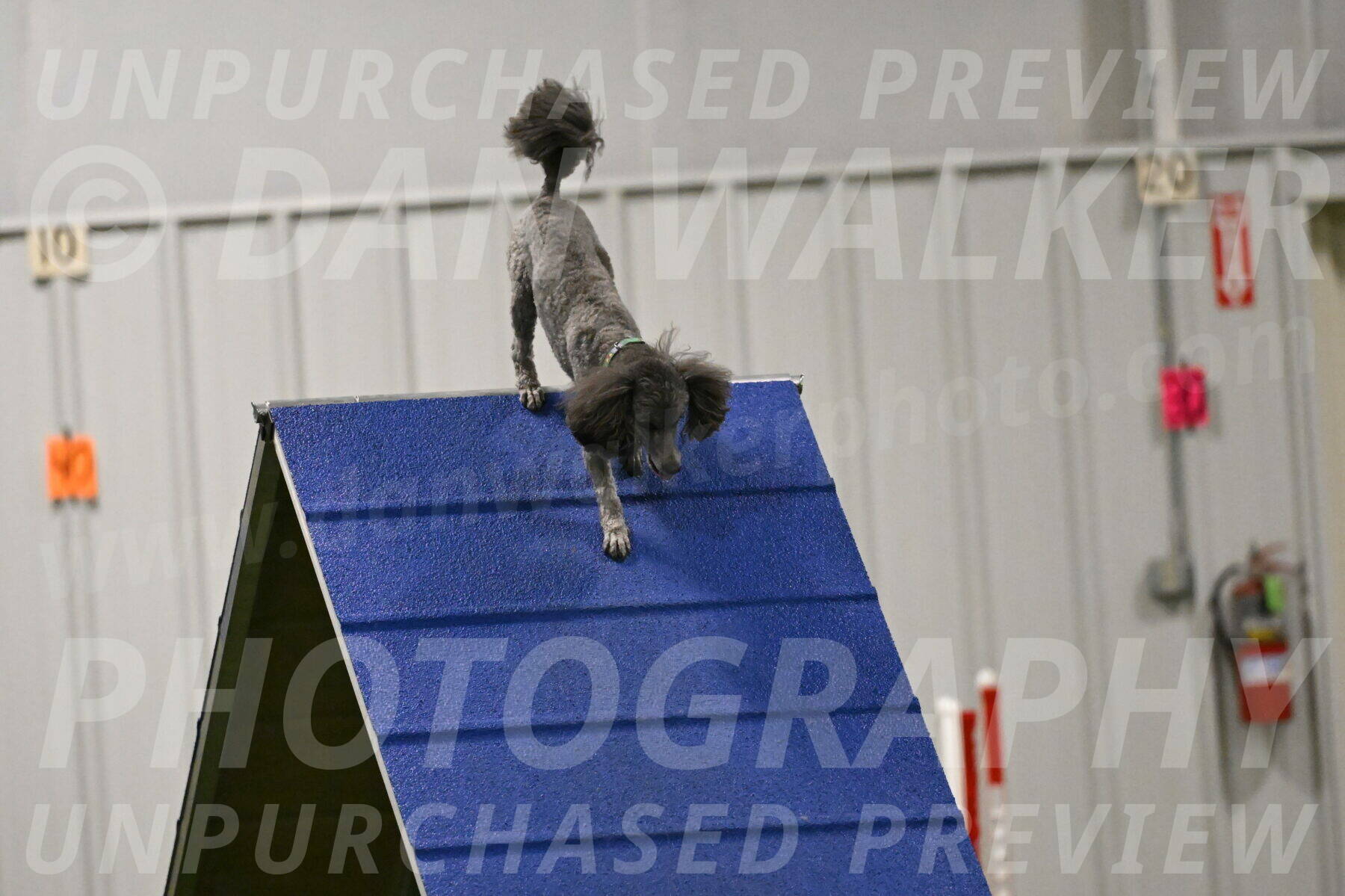 Fizz-Lori-Bieber-00184