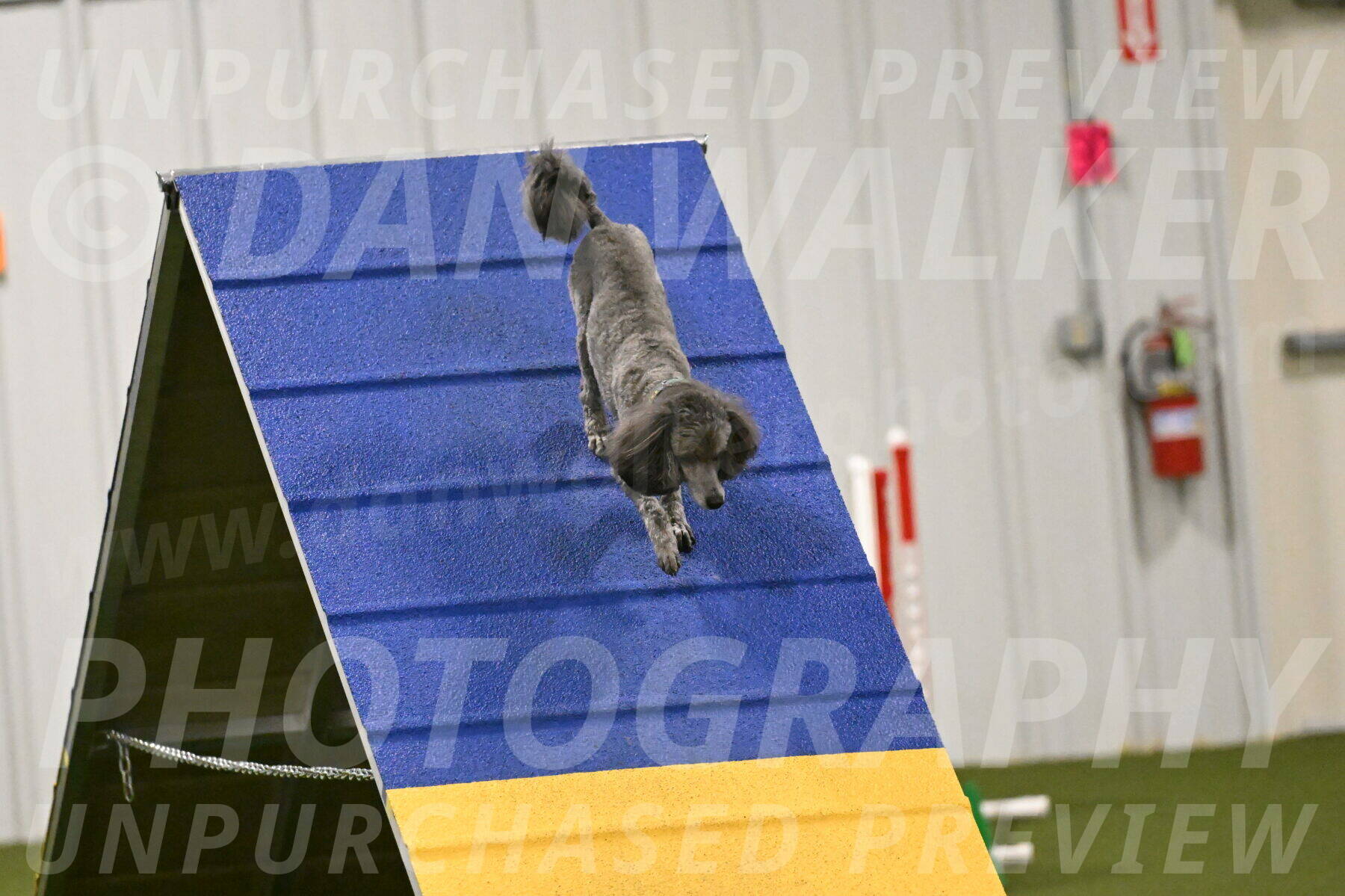 Fizz-Lori-Bieber-00187