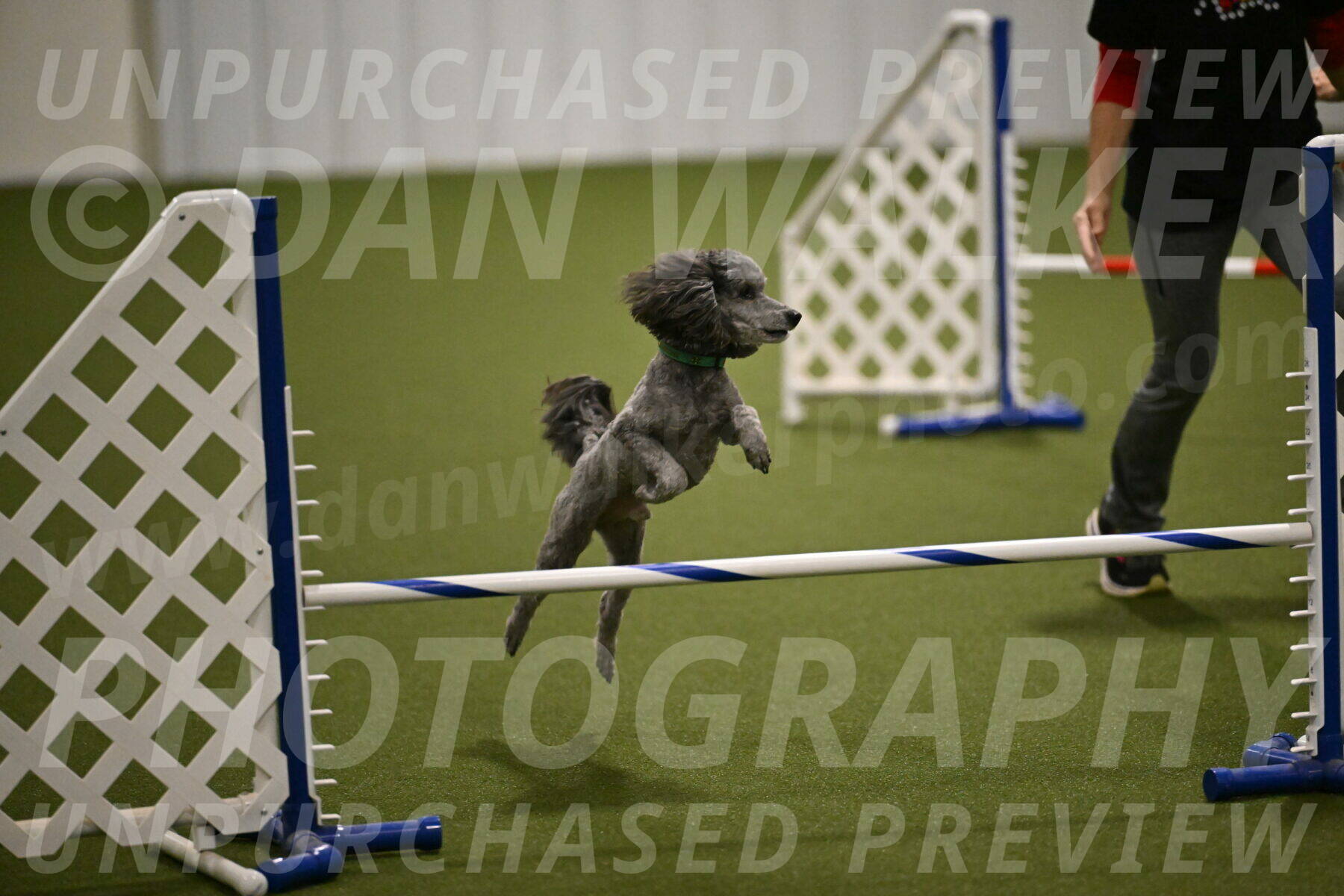 Fizz-Lori-Bieber-00189