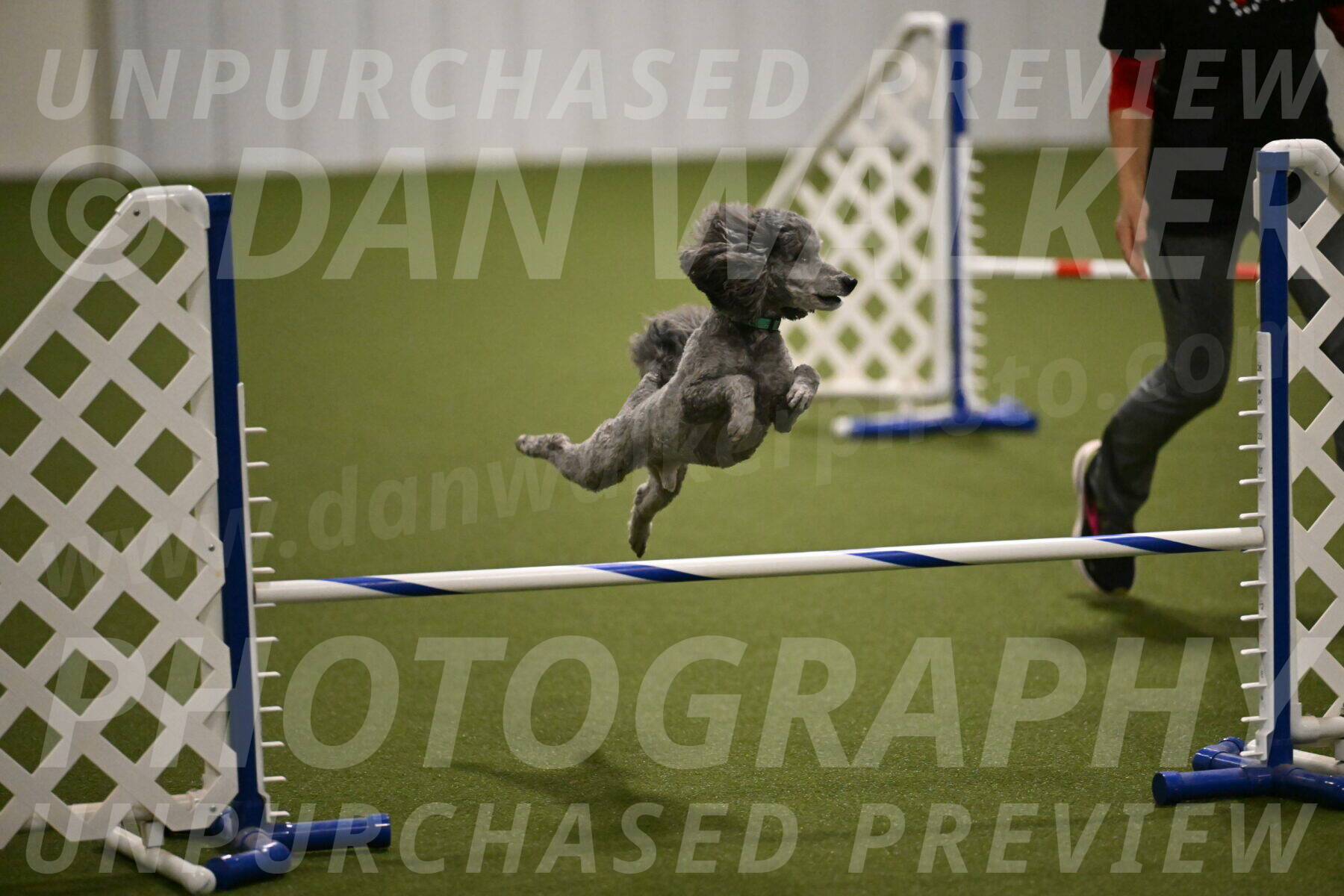 Fizz-Lori-Bieber-00190