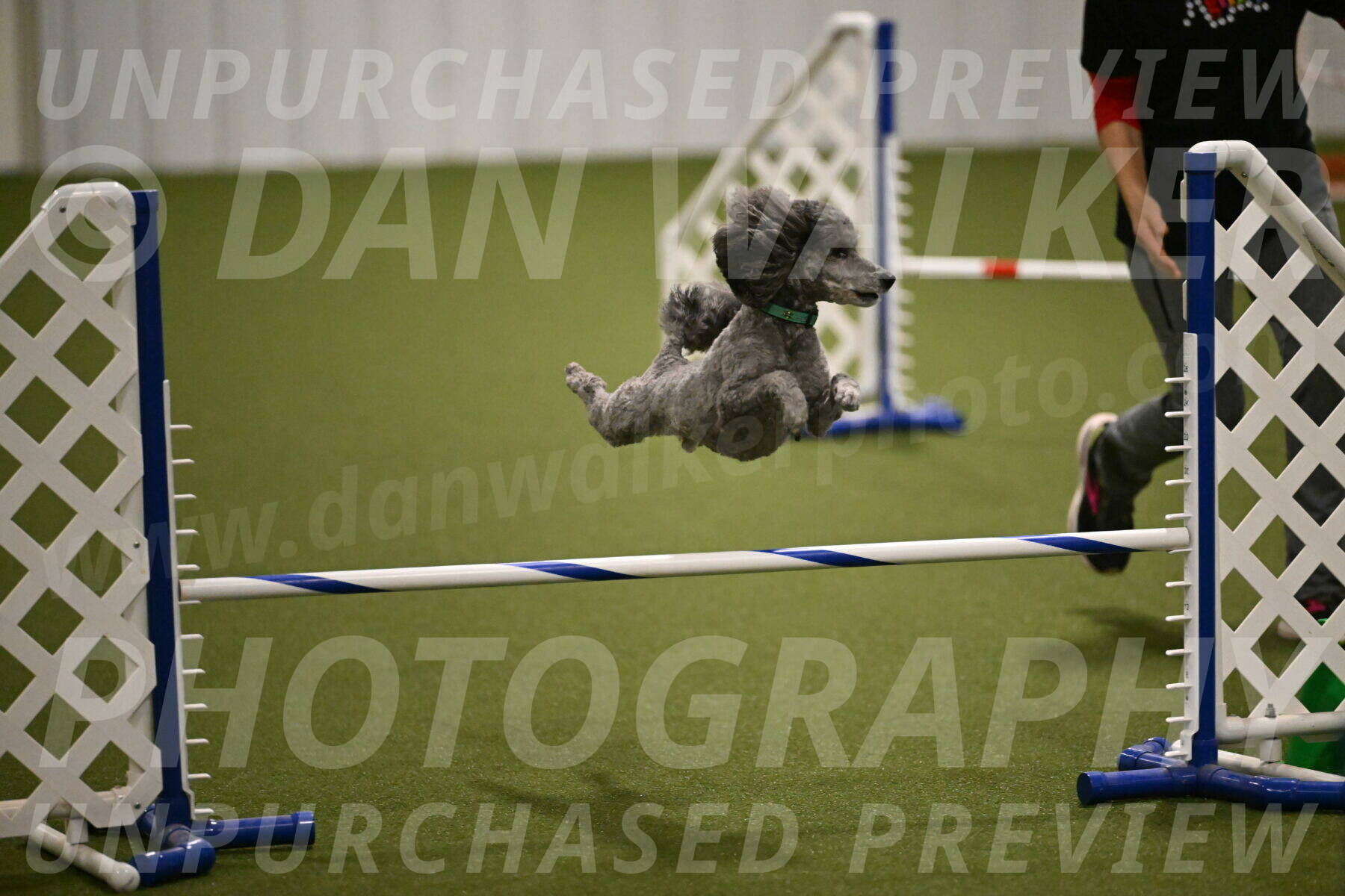 Fizz-Lori-Bieber-00191