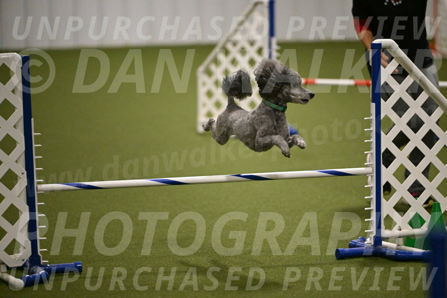 Fizz-Lori-Bieber-00192