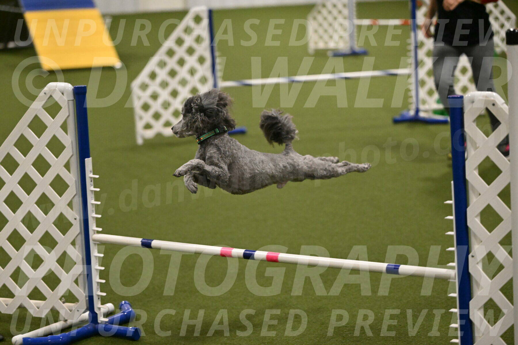 Fizz-Lori-Bieber-00194