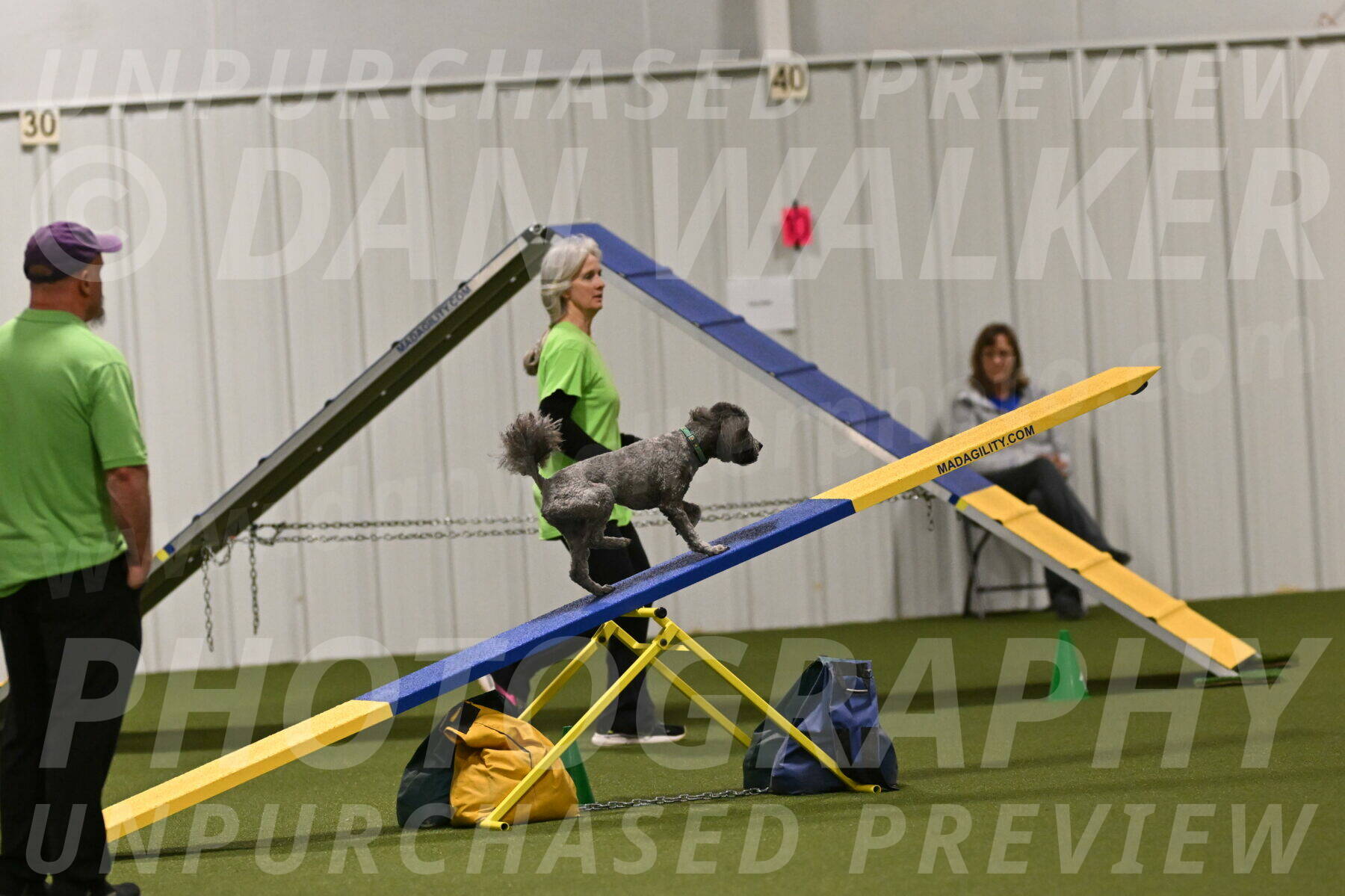 Fizz-Lori-Bieber-00195