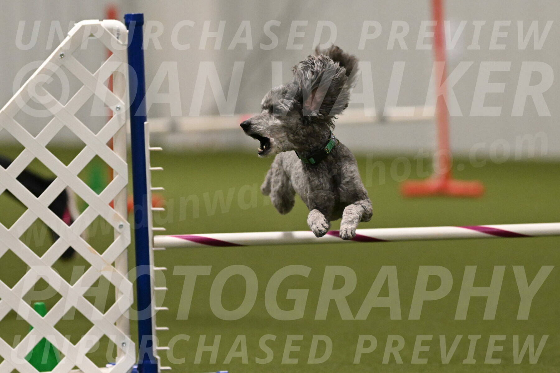 Fizz-Lori-Bieber-00248