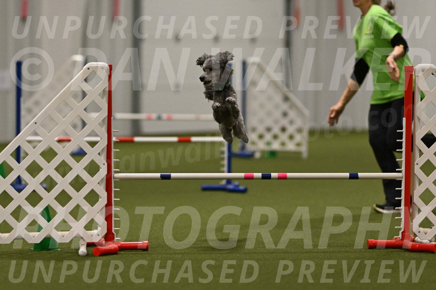 Fizz-Lori-Bieber-00250