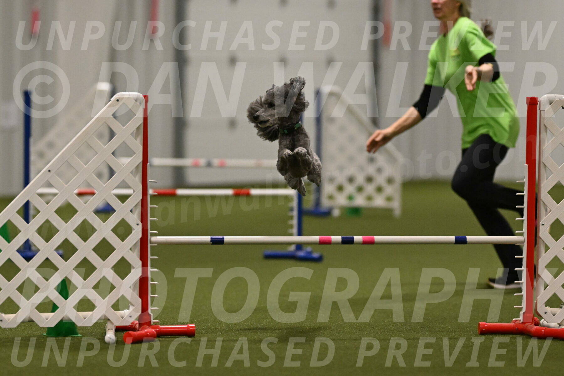 Fizz-Lori-Bieber-00251