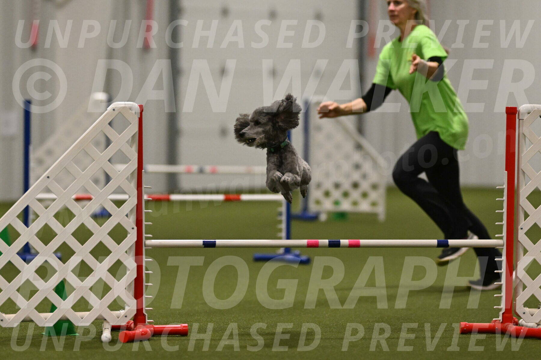 Fizz-Lori-Bieber-00252