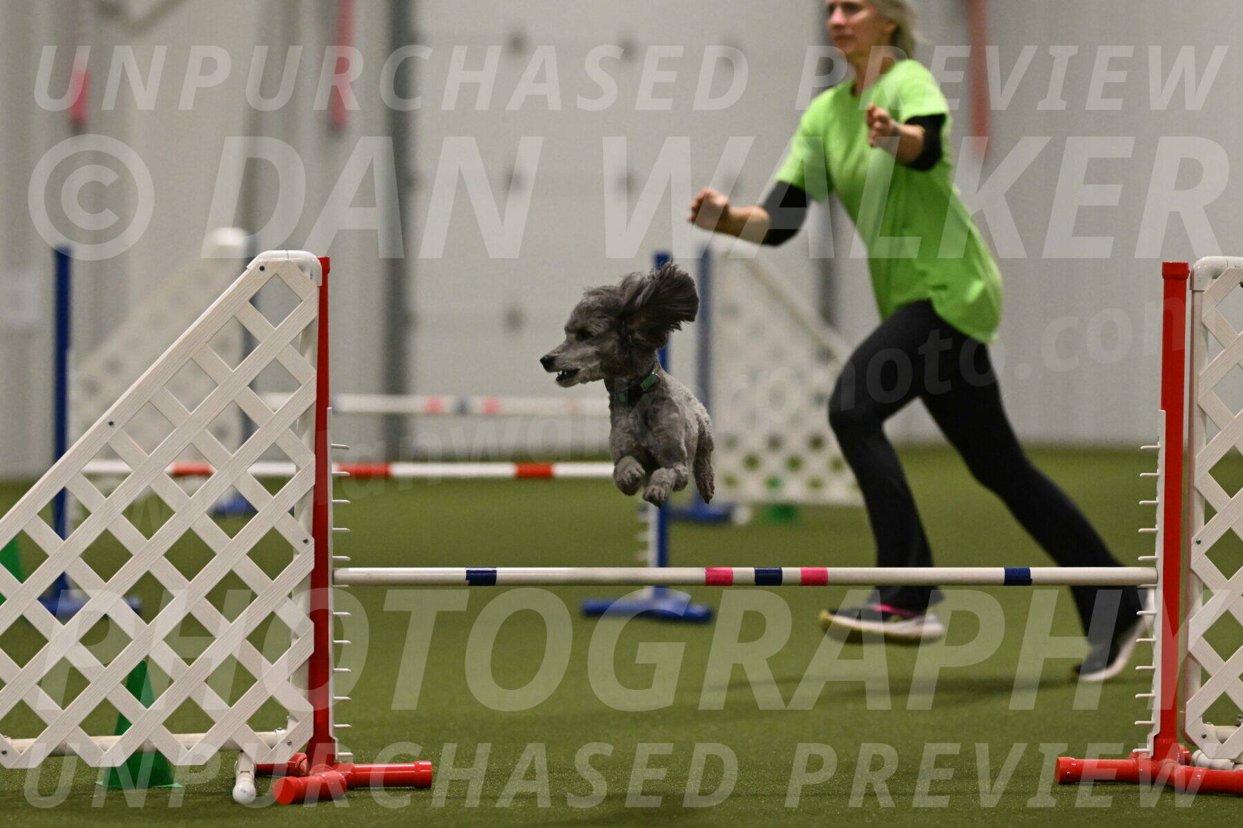 Fizz-Lori-Bieber-00253