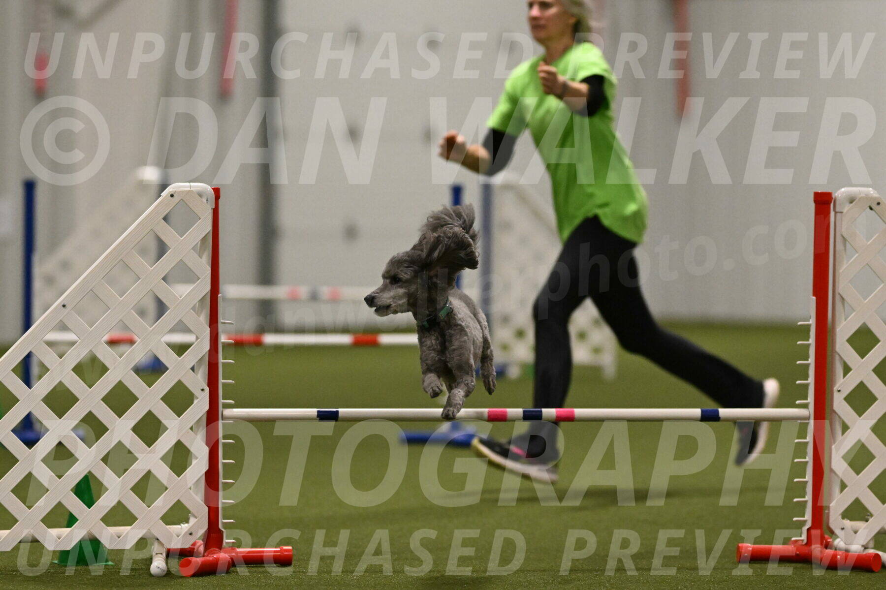 Fizz-Lori-Bieber-00254