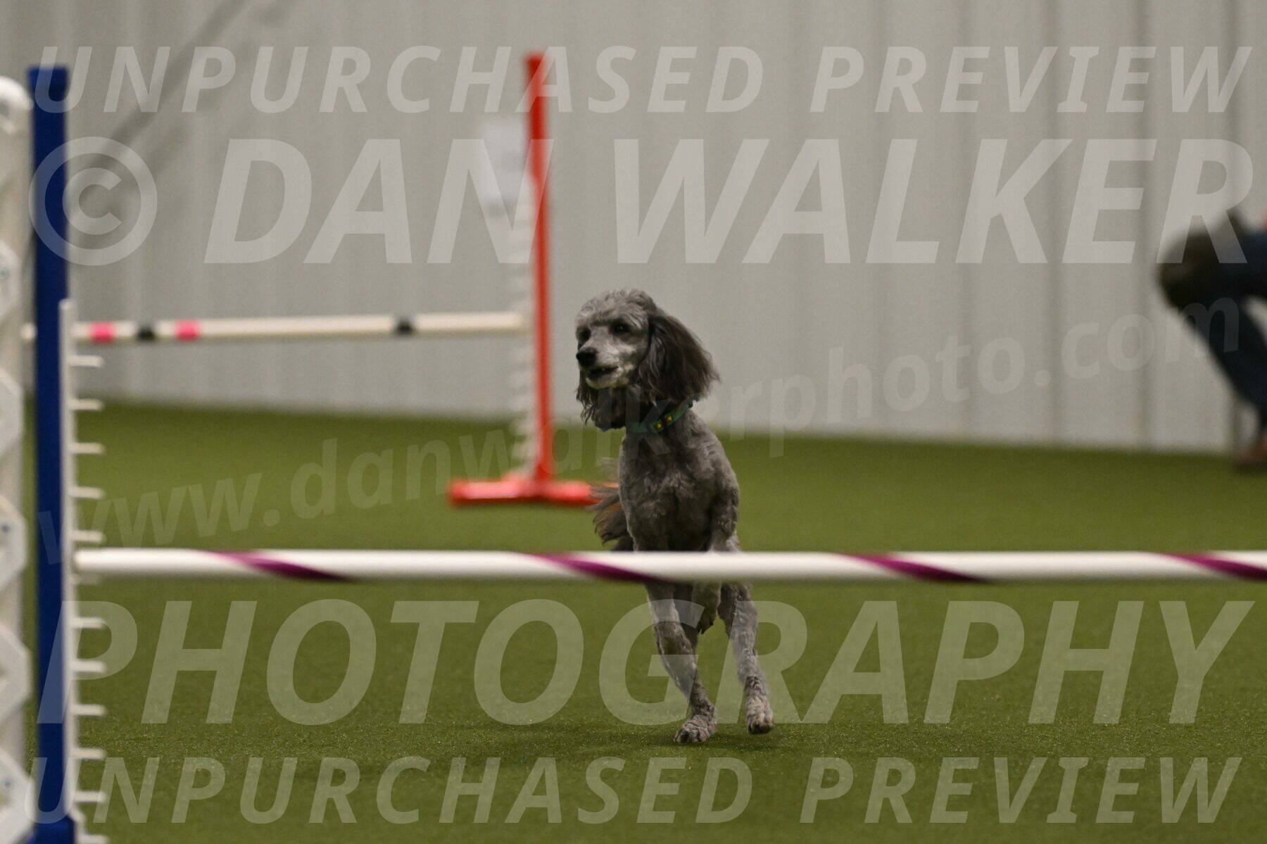 Fizz-Lori-Bieber-00256