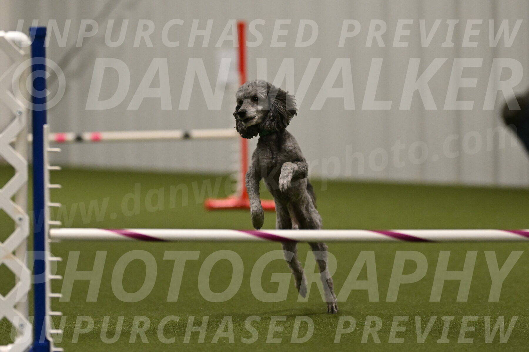 Fizz-Lori-Bieber-00257