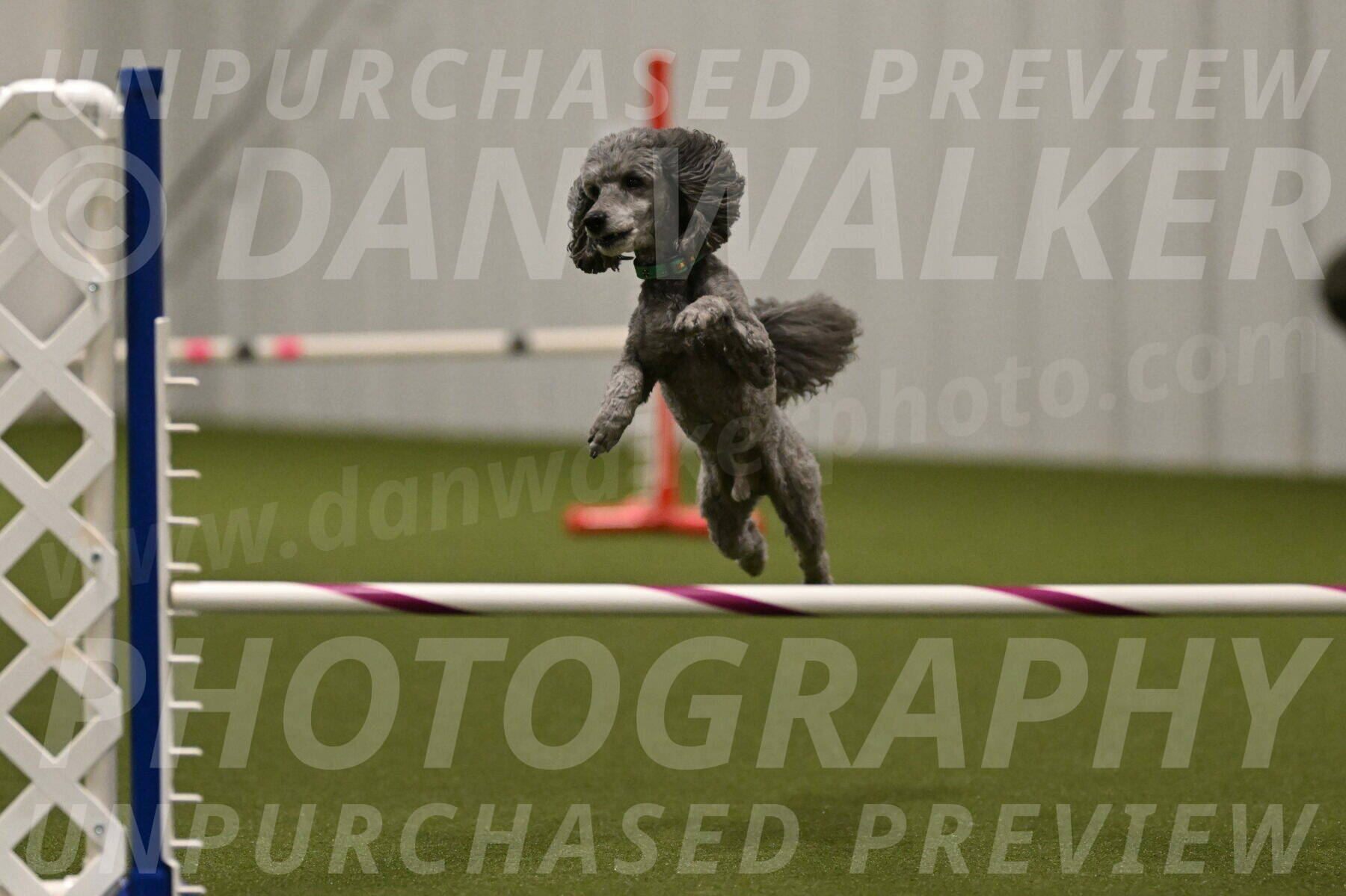 Fizz-Lori-Bieber-00258