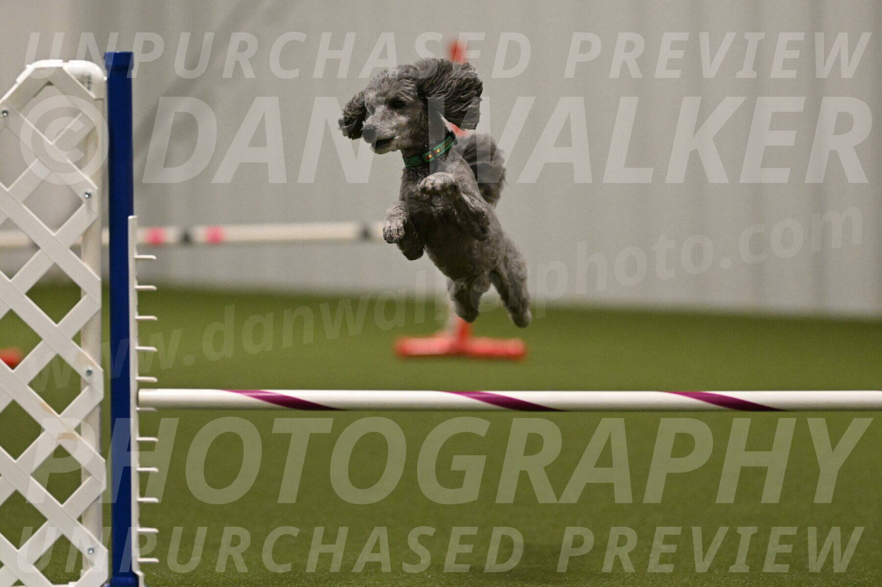 Fizz-Lori-Bieber-00259