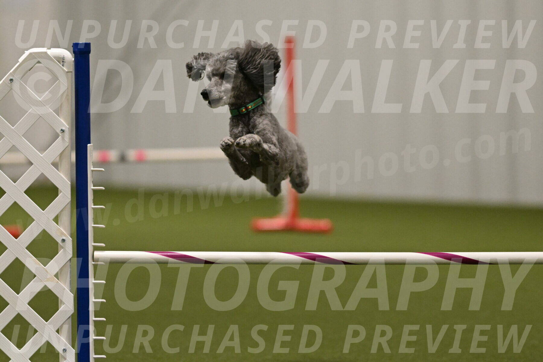 Fizz-Lori-Bieber-00260