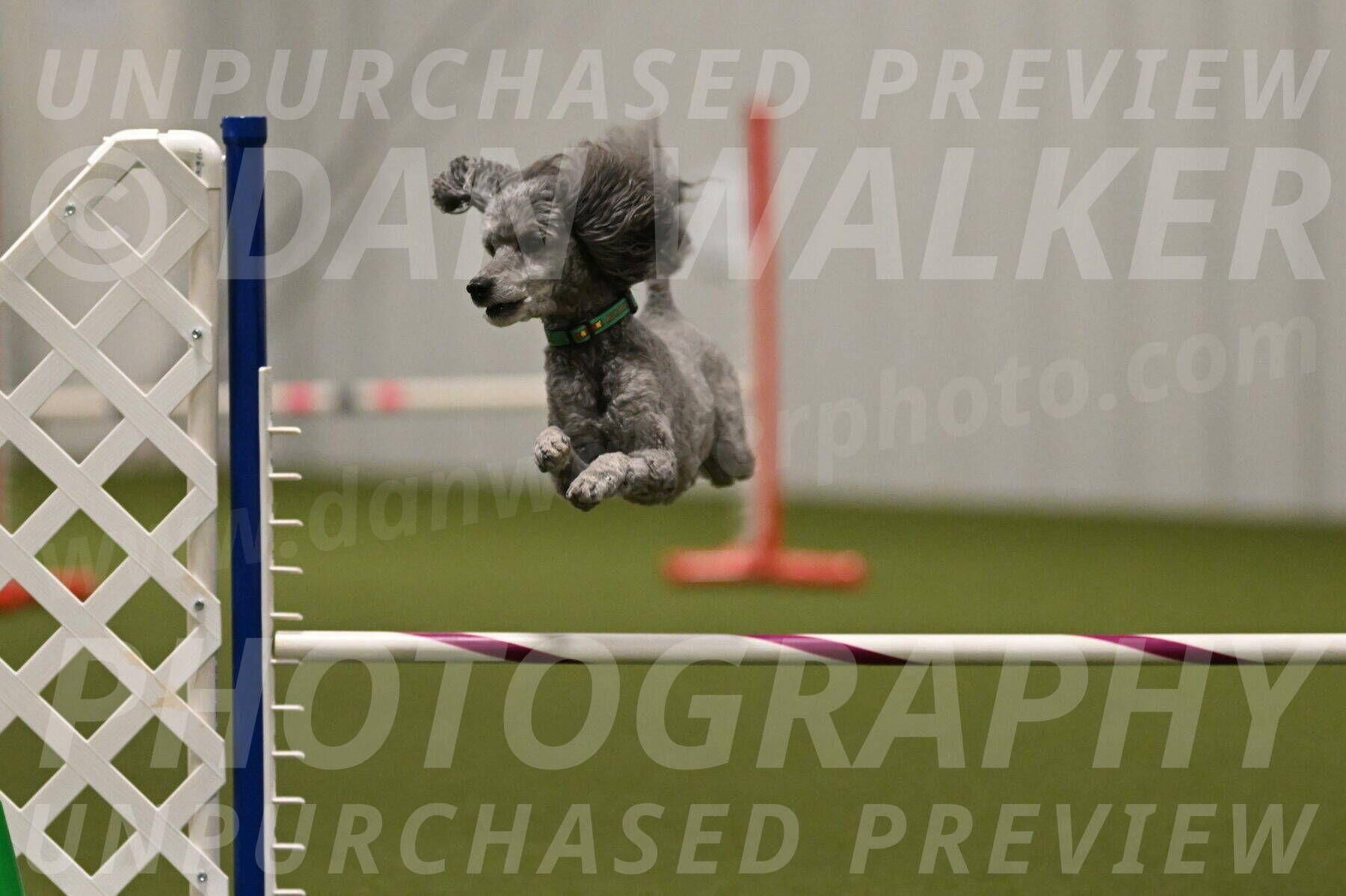 Fizz-Lori-Bieber-00261