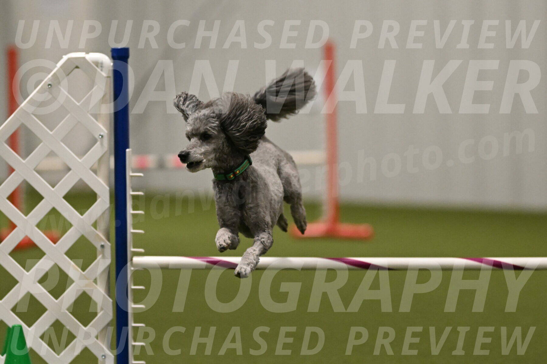 Fizz-Lori-Bieber-00262