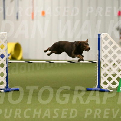 Flynn-Laura-Kuterbach-02809