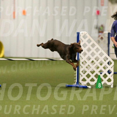 Flynn-Laura-Kuterbach-02810