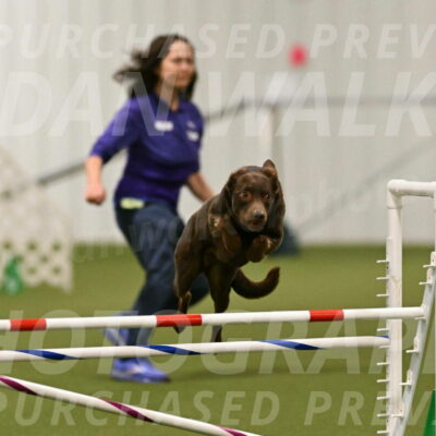 Flynn-Laura-Kuterbach-02814