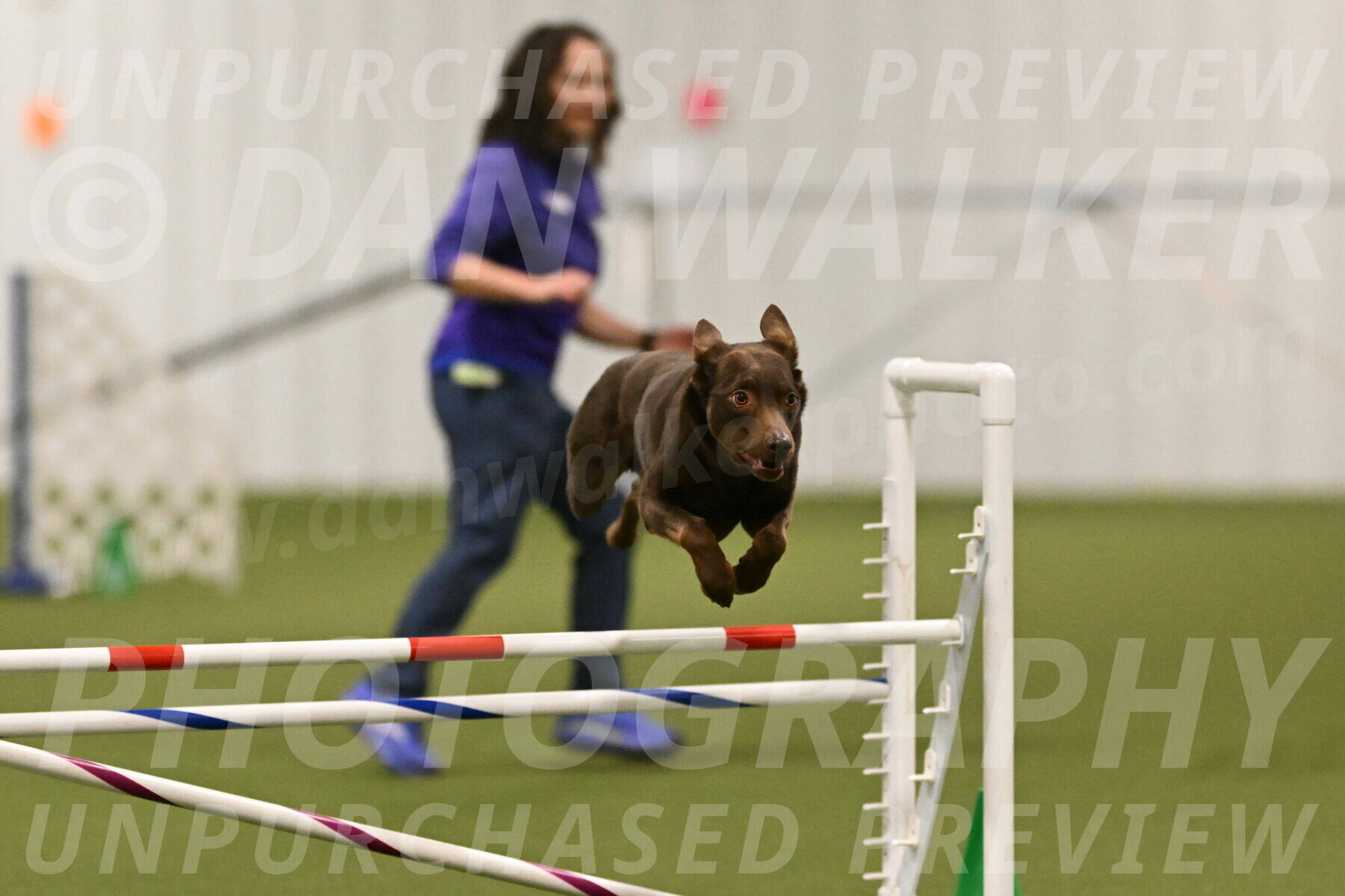 Flynn-Laura-Kuterbach-02816