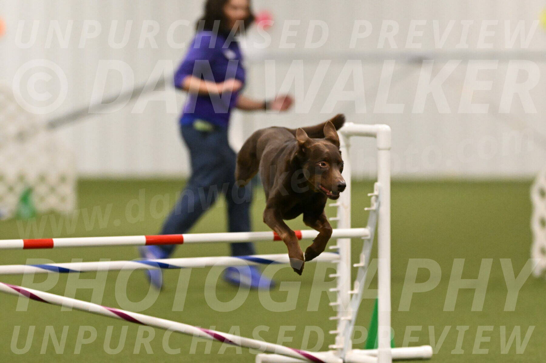 Flynn-Laura-Kuterbach-02817