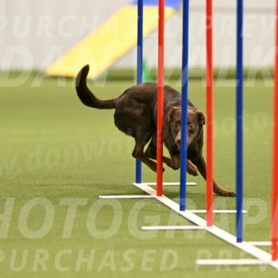 Flynn-Laura-Kuterbach-02818