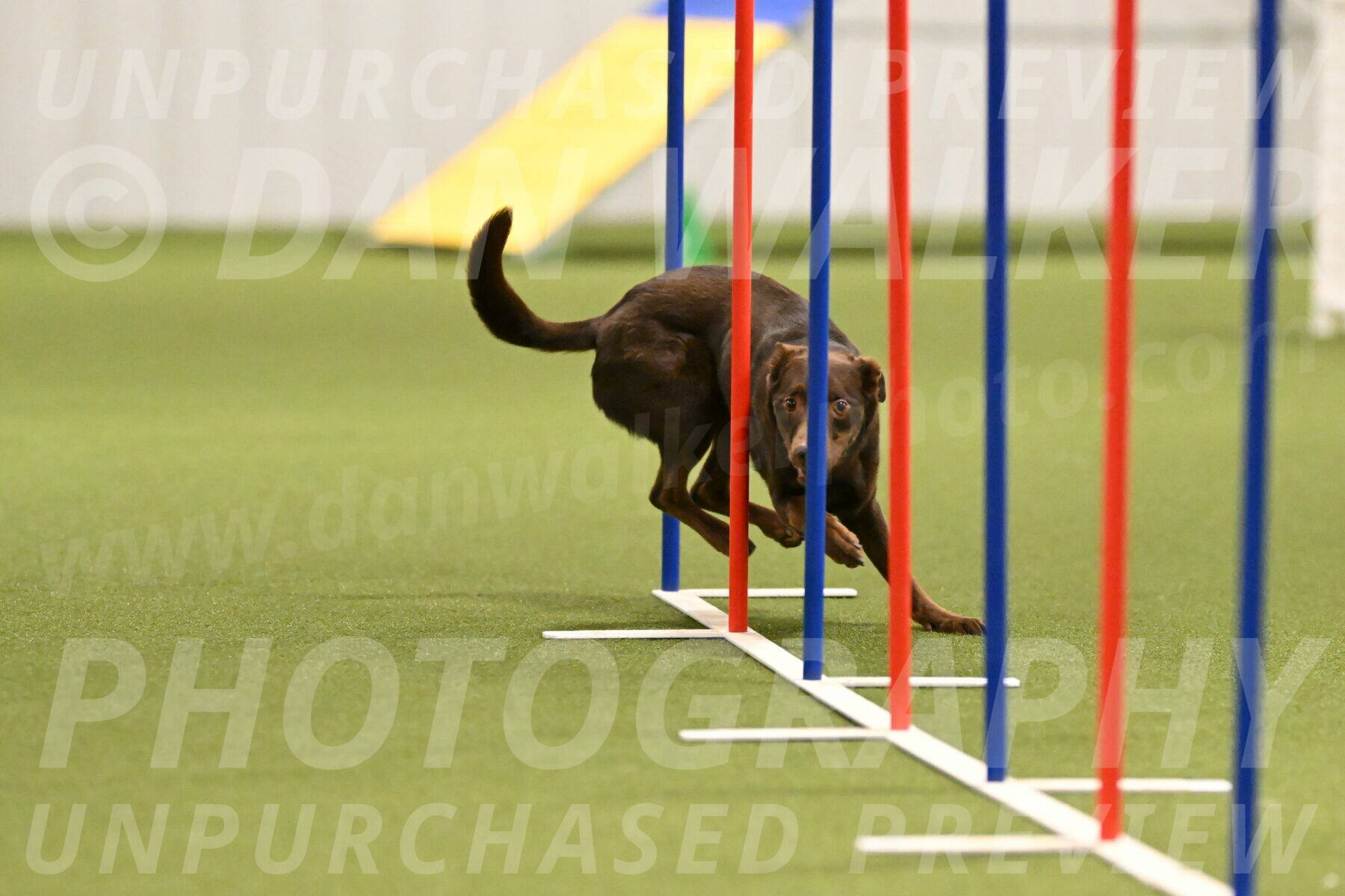 Flynn-Laura-Kuterbach-02818