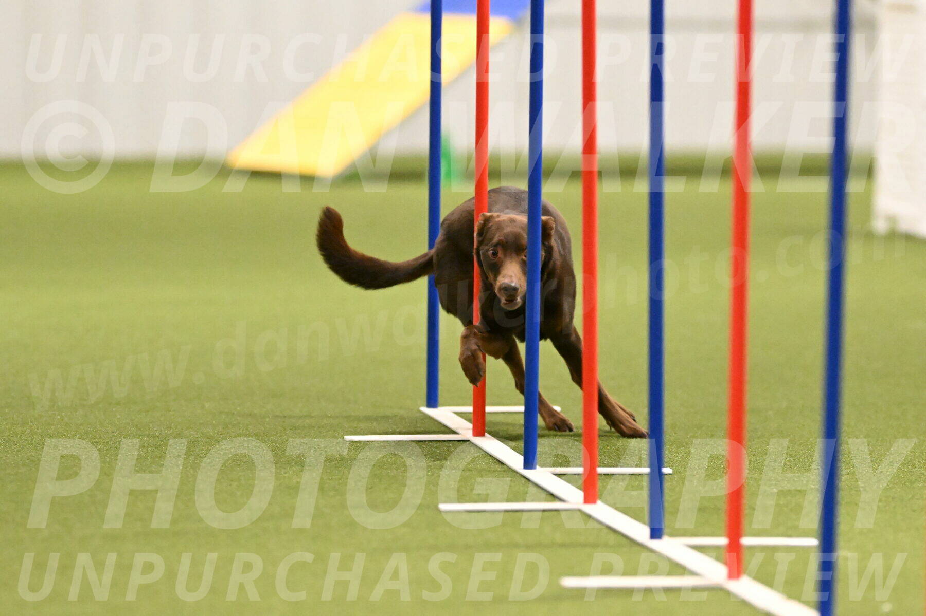 Flynn-Laura-Kuterbach-02819