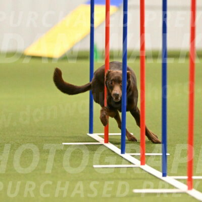 Flynn-Laura-Kuterbach-02819