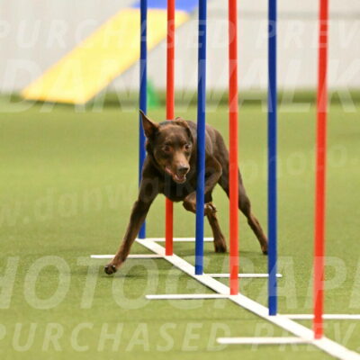 Flynn-Laura-Kuterbach-02820