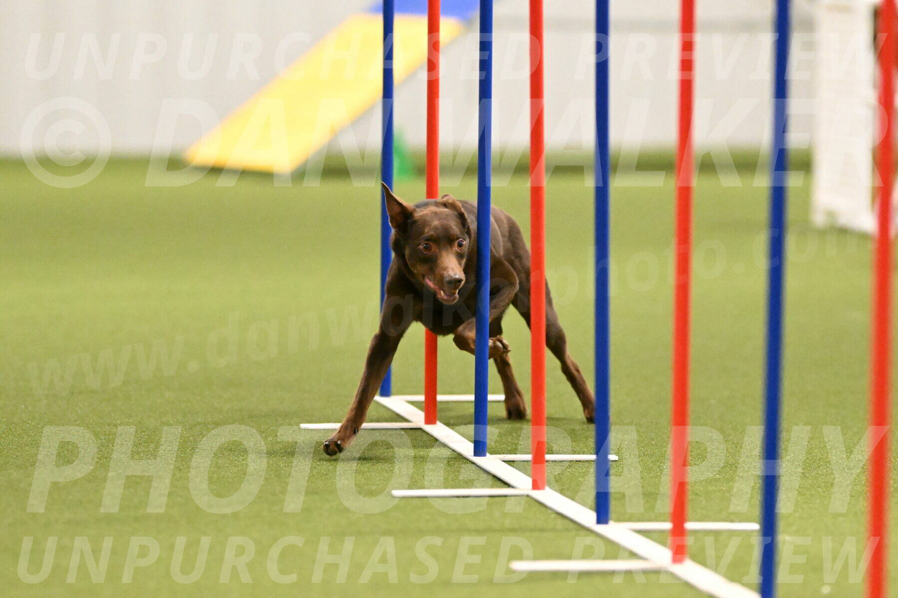 Flynn-Laura-Kuterbach-02820