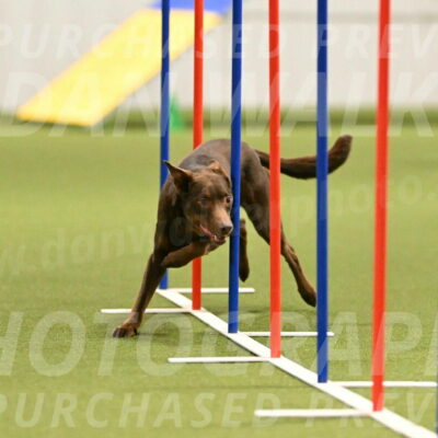 Flynn-Laura-Kuterbach-02821