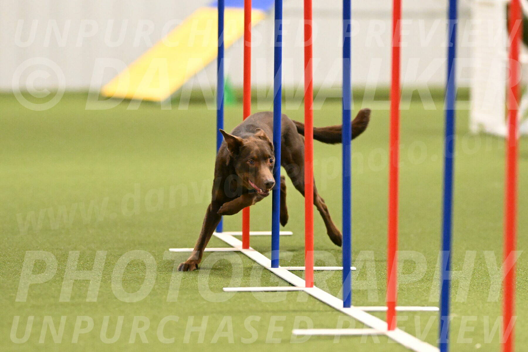 Flynn-Laura-Kuterbach-02821